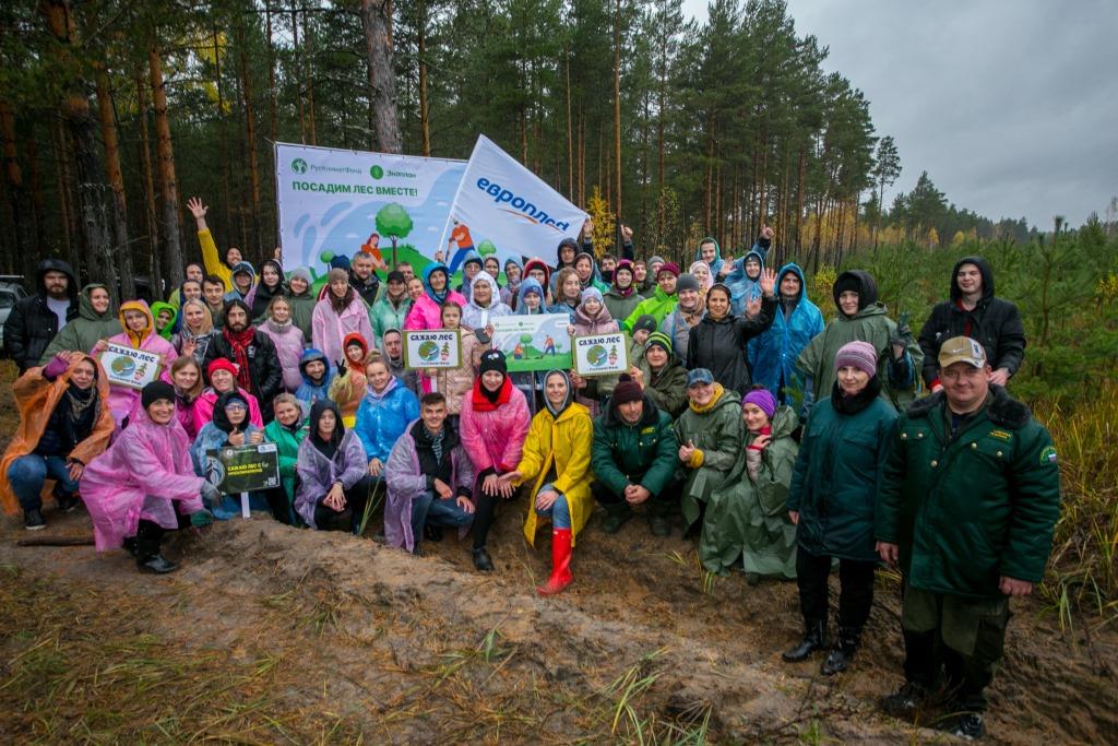 На территории Красномаяковского лесничества посадили 6 тысяч сосен - фото 1