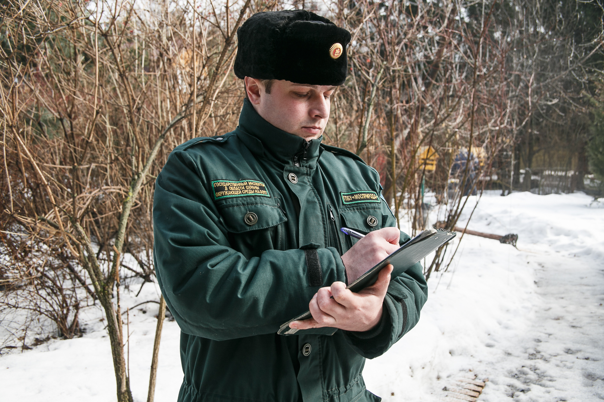 Предновогодний дозор: в Москве пройдет акция по охране новогодних деревьев «Ель» - фото 1
