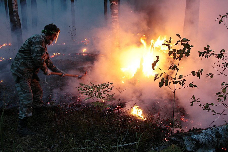 Кто и на каких условиях тушит лесные пожары - фото 10