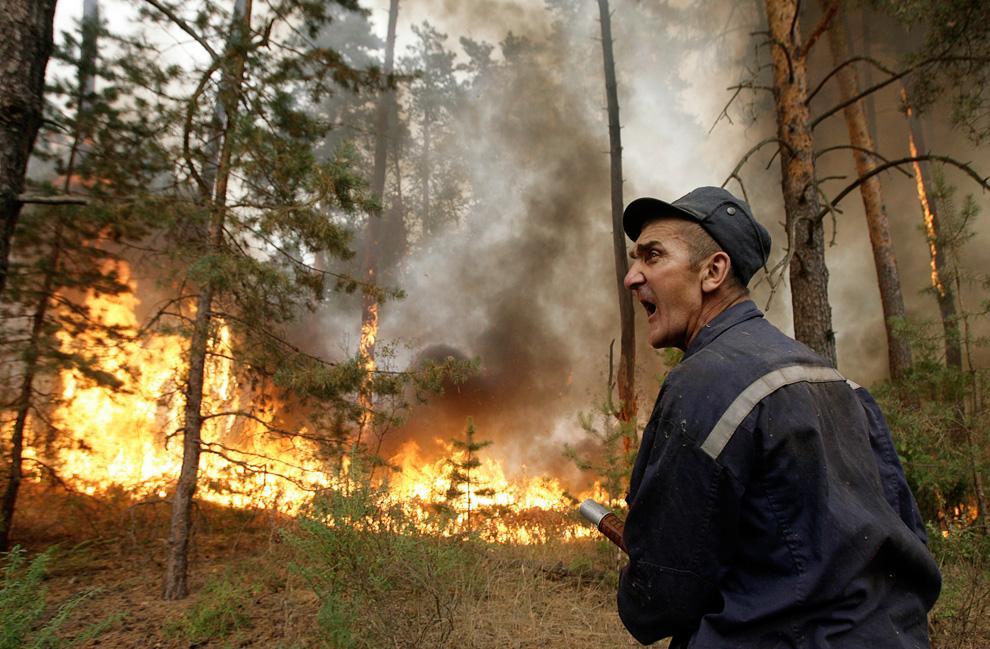 Кто и на каких условиях тушит лесные пожары - фото 9