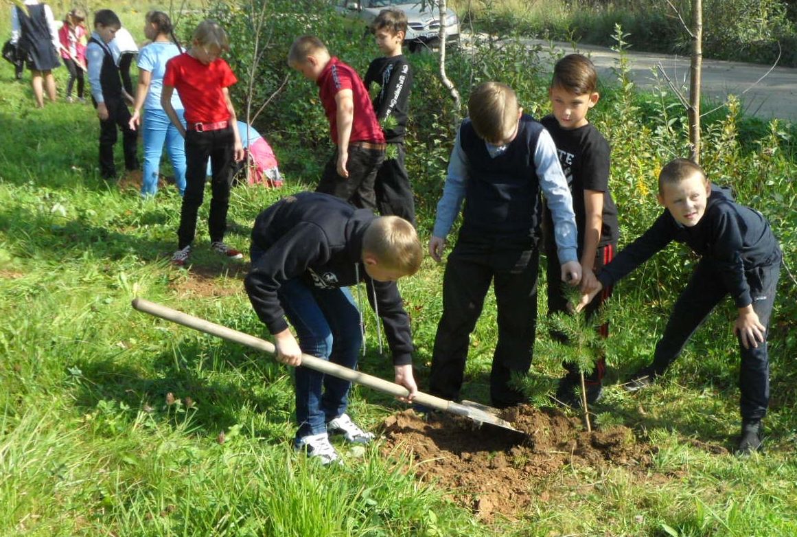 Учащиеся Тверской области посадили свое первое дерево - фото 3