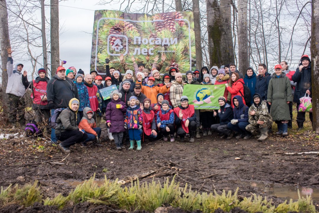 Волонтеры высадили более 270 000 молодых деревьев в российских регионах - фото 1