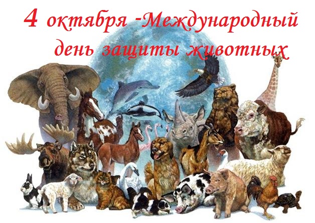 4 октября — Всемирный день защиты животных. Рассказываем, кто и как помогает диким животным в Москве - фото 1