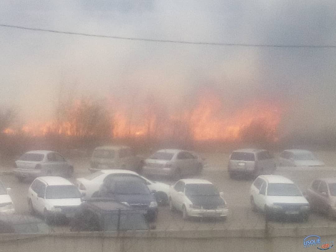 Пожары вокруг Иркутска: полный коллапс властей - фото 4