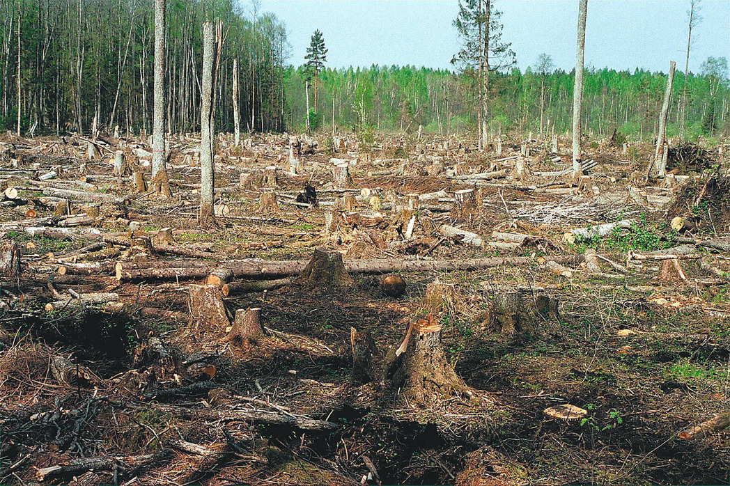 Tiscali (Чехия): Россия на пути к экологической катастрофе - фото 1