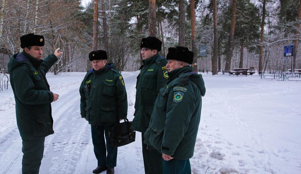 В Москве подвели итоги акции «Операция «Ель»: фактов незаконной вырубки деревьев не обнаружено - фото 3