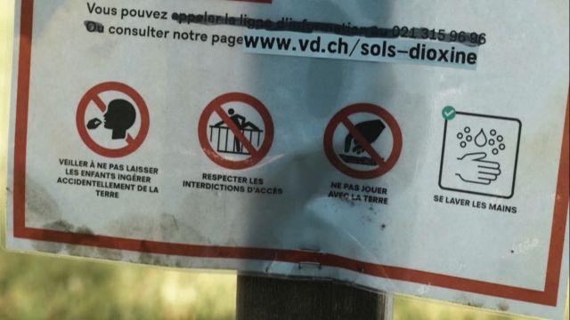 Игорь Жарков: хотите как в Швейцарии - пожалуйста получите диоксины - фото 5