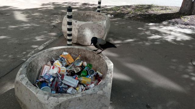 Раздельный сбор мусора в Москве. Городской бёрдинг - фото 10