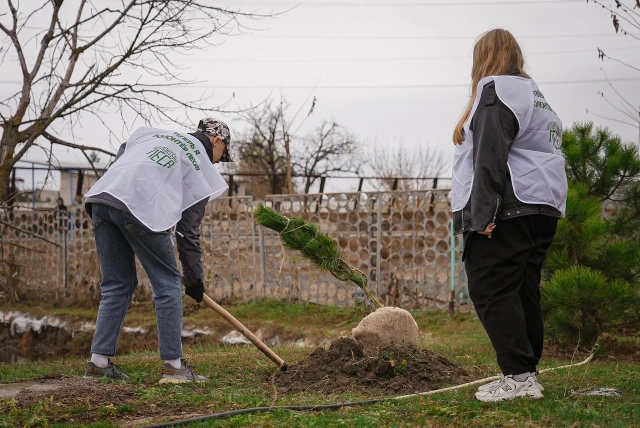 Активисты Запорожской области провели высадку деревьев ко «Дню народного единства» - фото 3