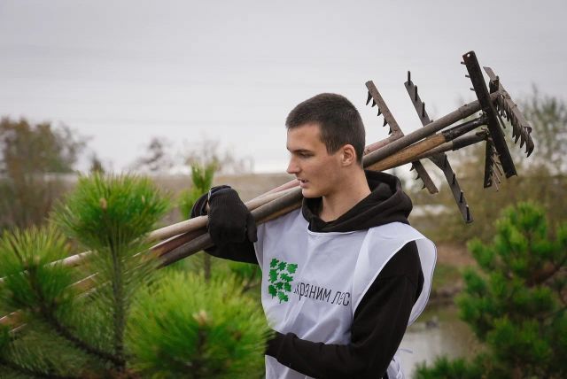 Активисты Запорожской области провели высадку деревьев ко «Дню народного единства» - фото 4