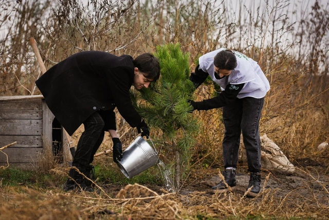 Активисты Запорожской области провели высадку деревьев ко «Дню народного единства» - фото 7