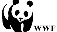 WWF и Гринпис: с 1 июля Россия начнет терять защитные леса и рыбные ресурсы - фото 1
