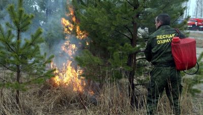 В лесничествах Воронежской области формируют планы тушения лесных пожаров на 2019 год - фото 1