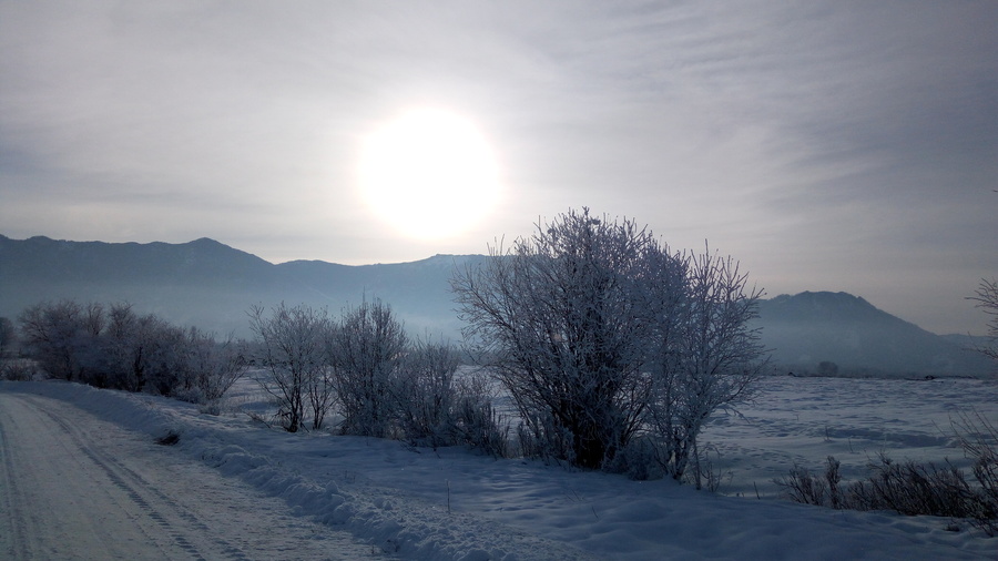 Алтай. Зима - фото 8